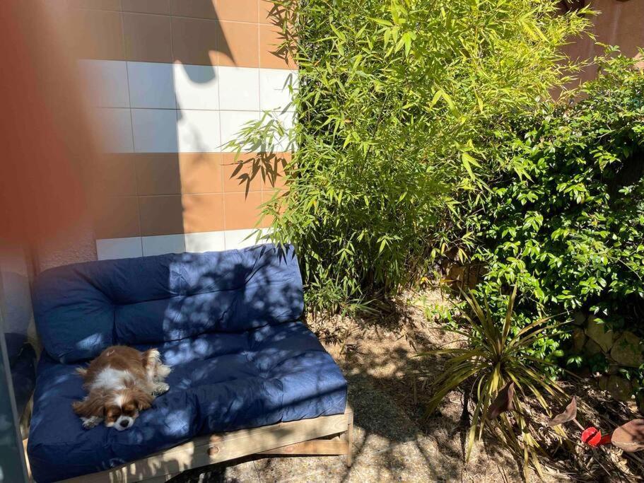 Charming Studio To Venelles 10 Minutes From Aix Extérieur photo